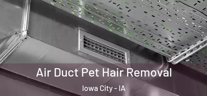  Air Duct Pet Hair Removal Iowa City - IA
