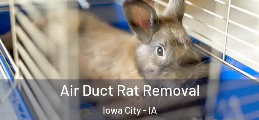 Air Duct Rat Removal Iowa City - IA