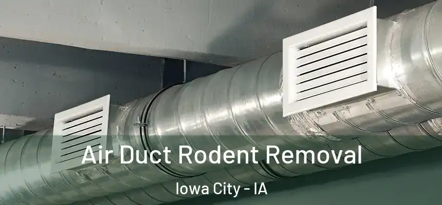 Air Duct Rodent Removal Iowa City - IA