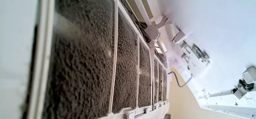 Preventive Air Duct Bacteria Removal in Iowa City