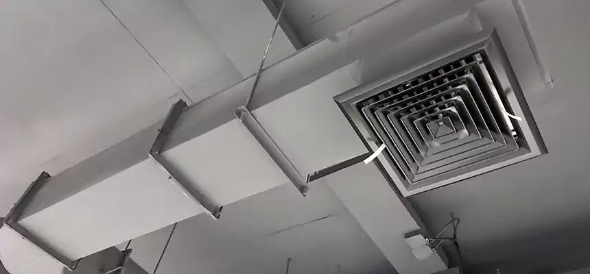 Our Pest Removal From Ducts Services in Iowa City, IA