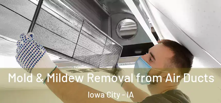 Mold & Mildew Removal from Air Ducts Iowa City - IA