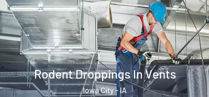 Rodent Droppings In Vents Iowa City - IA