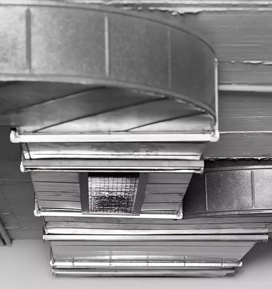 Professional Air Duct Pet Hair Removal in Iowa City, IA