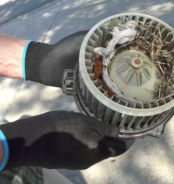 About Air Duct Rat Removal in Iowa City, IA