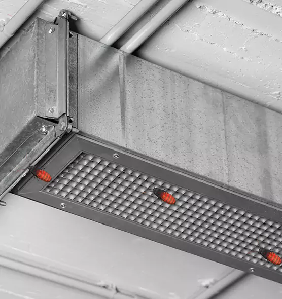 Affordable Insect Removal from Air Ducts in Iowa City, IA