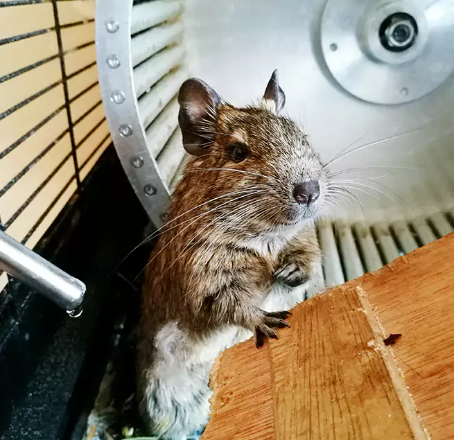 Why Homeowners & Businesses Trust Us Iowa City, IA