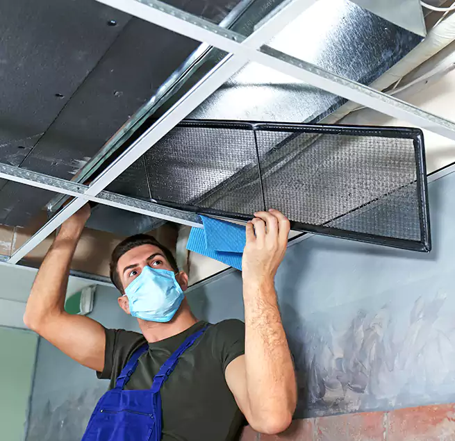 Why Homeowners Businesses Trust Us in Iowa City, IA