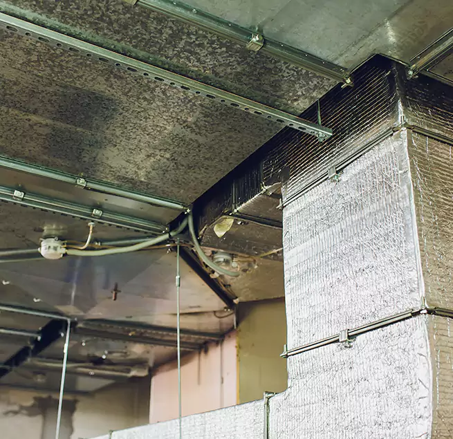 Why Homeowners & Businesses Trust Us in Iowa City, IA?